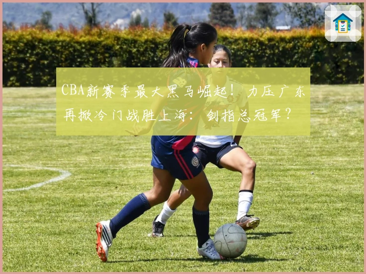 CBA新赛季最大黑马崛起！力压广东再掀冷门战胜上海：剑指总冠军？