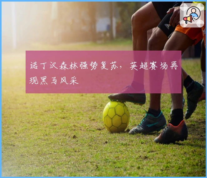 诺丁汉森林强势复苏，英超赛场再现黑马风采