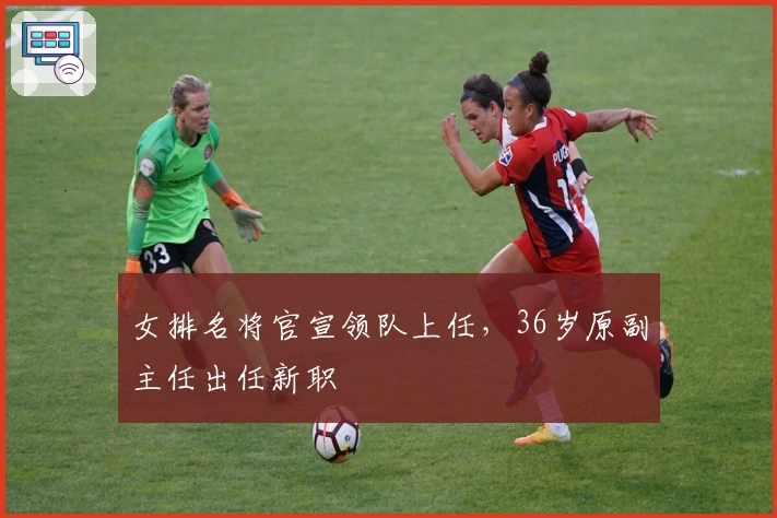 女排名将官宣领队上任，36岁原副主任出任新职